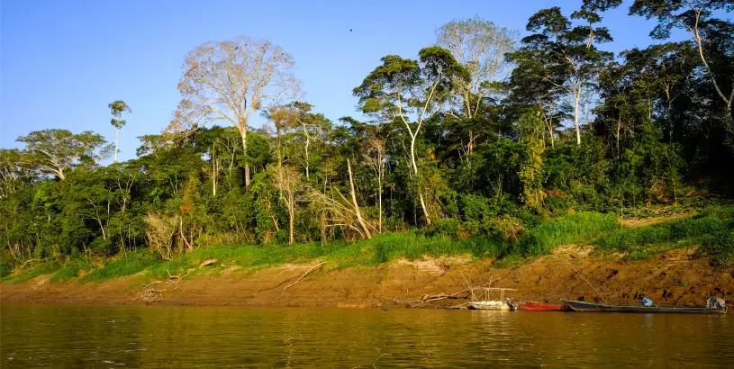 Tambopata National Reserve - Koa Expeditions