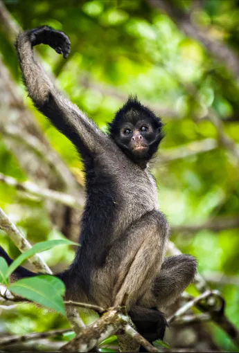 Iquitos, home, Koa Expeditions