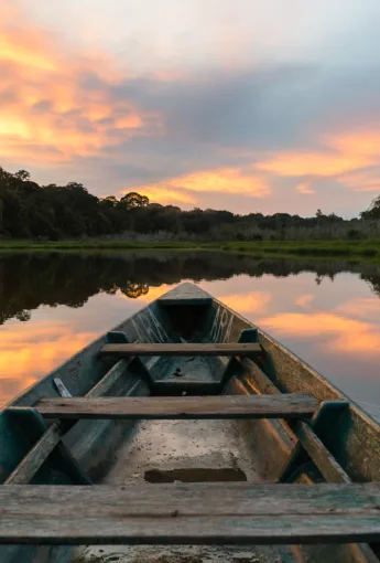 Tambopata, web, Koa Expeditions